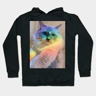 rainbow cat Hoodie